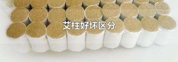艾柱好坏区分