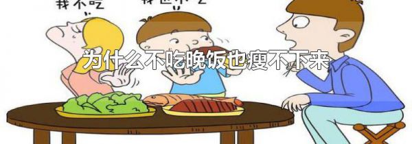 为什么不吃晚饭也瘦不下来