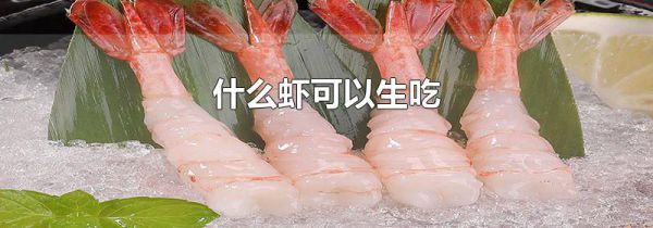 什么虾可以生吃