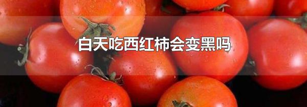 白天吃西红柿会变黑吗