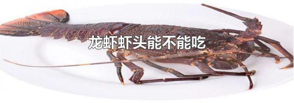 龙虾虾头能不能吃