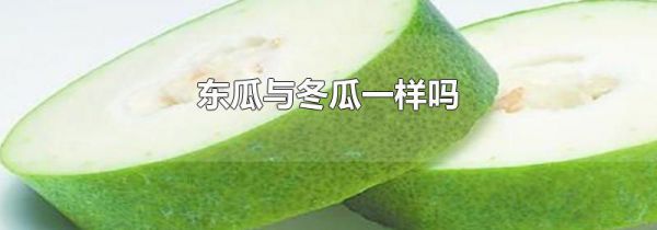 东瓜与冬瓜一样吗