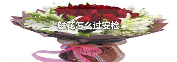 鲜花怎么过安检