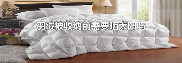 羽绒被收纳前需要晒太阳吗
