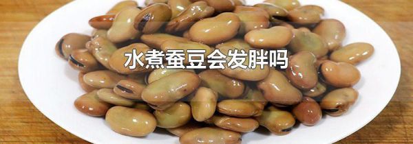 水煮蚕豆会发胖吗