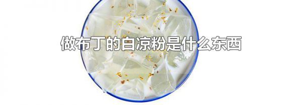 做布丁的白凉粉是什么东西