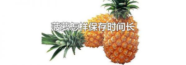 菠萝怎样保存时间长