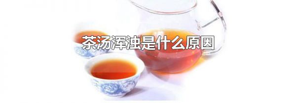 茶汤浑浊是什么原因