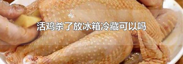 活鸡杀了放冰箱冷藏可以吗