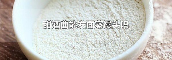 甜酒曲能发面蒸馒头吗