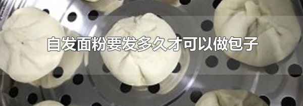 自发面粉要发多久才可以做包子