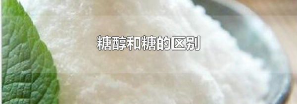糖醇和糖的区别