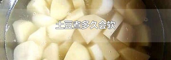 土豆煮多久会软