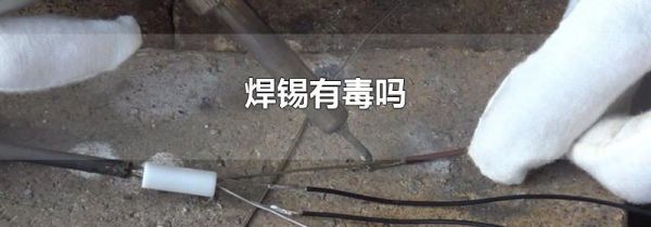 焊锡有毒吗