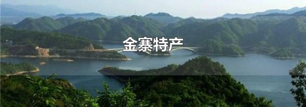 金寨特产