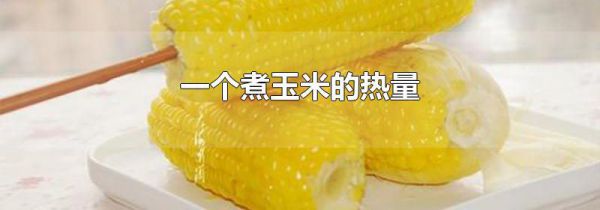 一个煮玉米的热量
