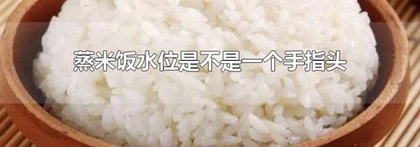蒸米饭水位是不是一个手指头