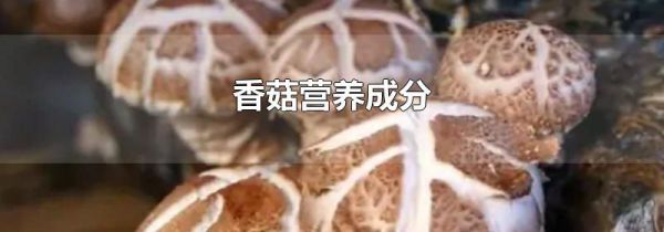 香菇营养成分