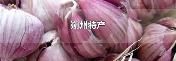 朔州特产