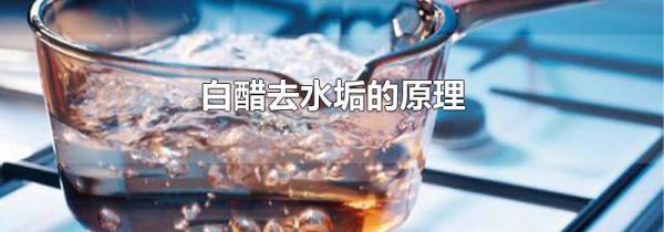 白醋去水垢的原理