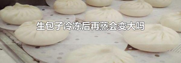 生包子冷冻后再蒸会变大吗