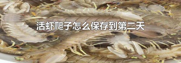 活虾爬子怎么保存到第二天