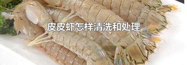 皮皮虾怎样清洗和处理
