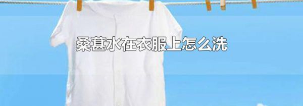 桑葚水在衣服上怎么洗