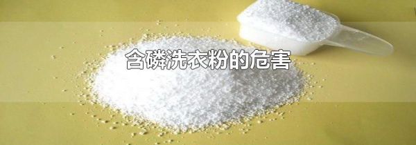 含磷洗衣粉的危害