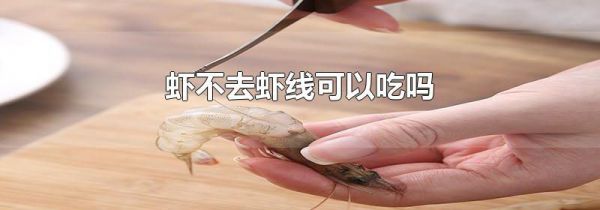 虾不去虾线可以吃吗