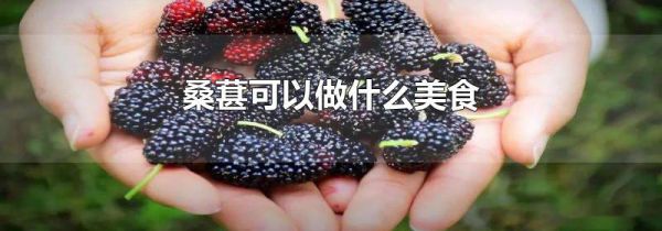 桑葚可以做什么美食
