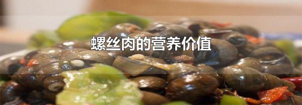 螺丝肉的营养价值