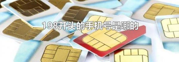 198开头的手机号是哪的