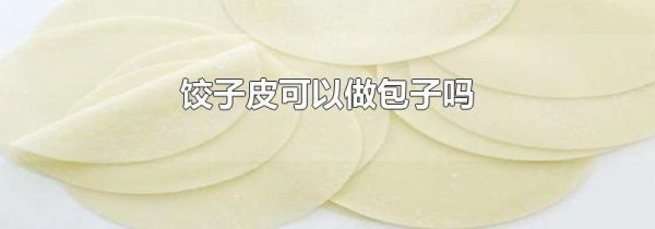 饺子皮可以做包子吗