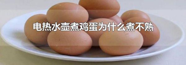 电热水壶煮鸡蛋为什么煮不熟
