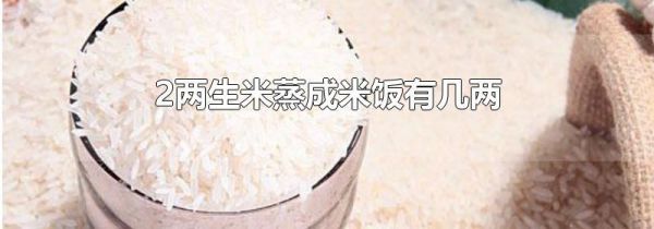 2两生米蒸成米饭有几两