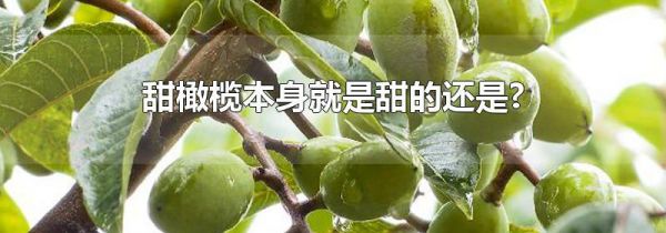 甜橄榄本身就是甜的还是?