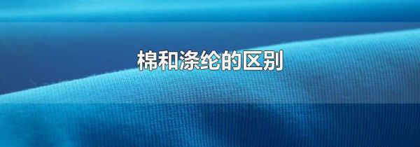 棉和涤纶的区别