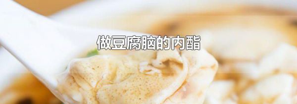 做豆腐脑的内酯