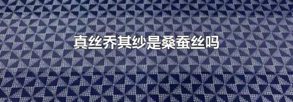 真丝乔其纱是桑蚕丝吗