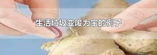 生活垃圾变废为宝的例子