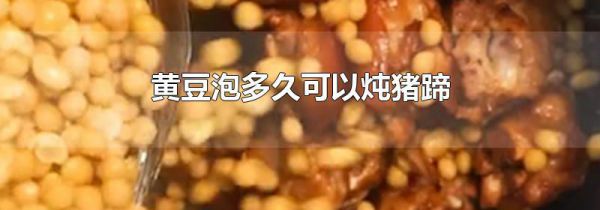 黄豆泡多久可以炖猪蹄