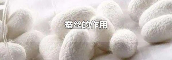 蚕丝的作用