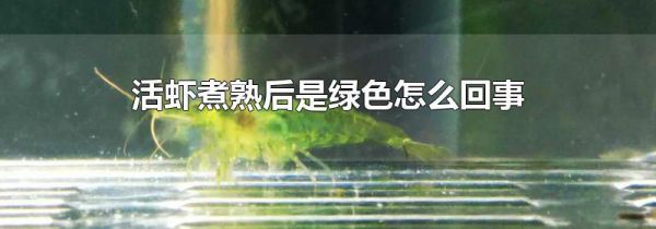 活虾煮熟后是绿色怎么回事