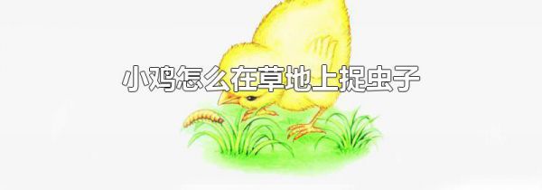 小鸡怎么在草地上捉虫子