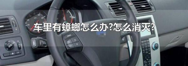 车里有蟑螂怎么办?怎么消灭?