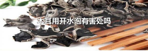 木耳用开水泡有害处吗