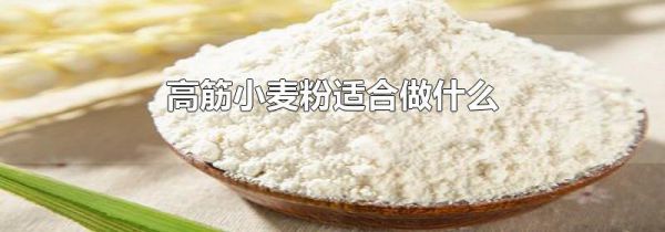 高筋小麦粉适合做什么