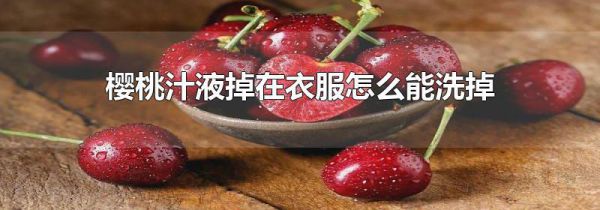 樱桃汁液掉在衣服怎么能洗掉