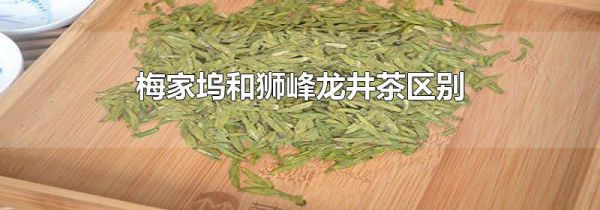 梅家坞和狮峰龙井茶区别